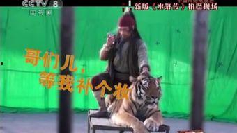 打虎视频,揭秘神秘老虎的惊险对决