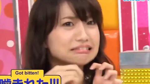 日本综艺 美女被虐,揭秘背后真相