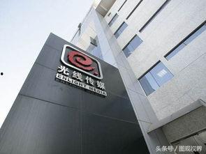 中国最大av集团,产业现状与未来展望