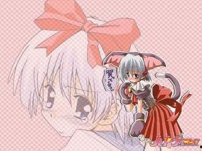 风狂女管家在线播放,在线播放，揭开神秘女管家背后的传奇故事