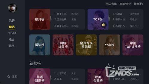 在线播放永久免播放器,尽享在线播放永久免播放器新体验