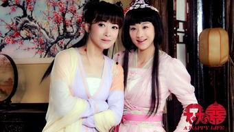 明星天天有喜,明星闪耀的喜剧盛宴